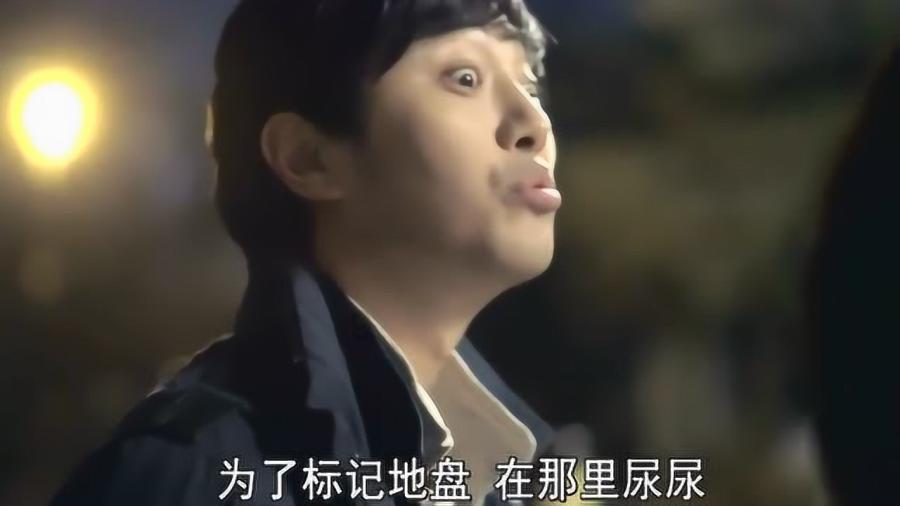 拯救穆尔小马