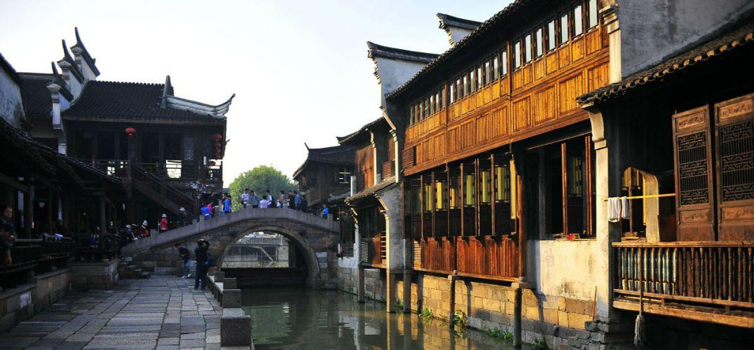 小僵尸射飞鸟
